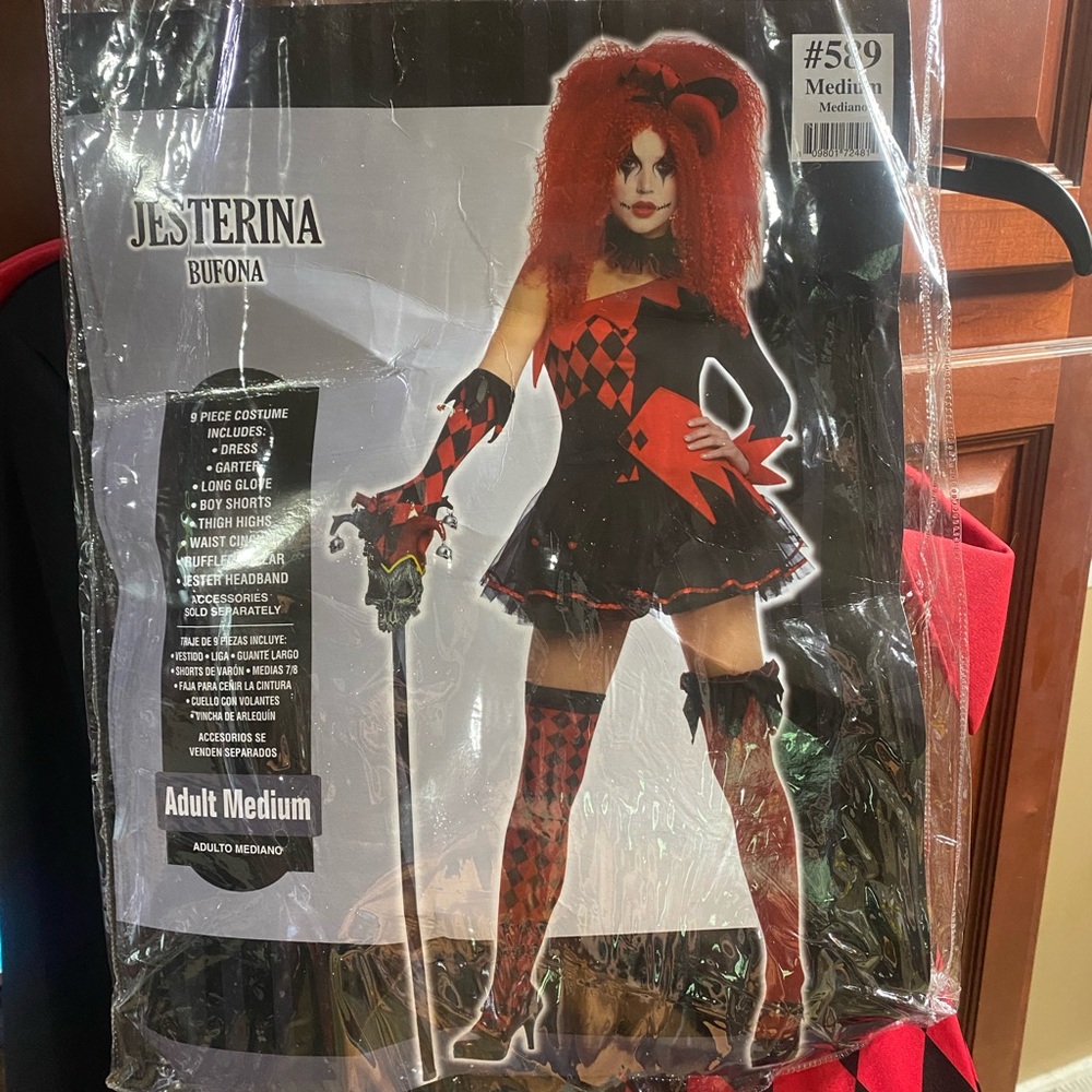 Womens Jesterina Costume